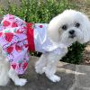 petStrawberry Picnic Dog Dress with Matching Leash